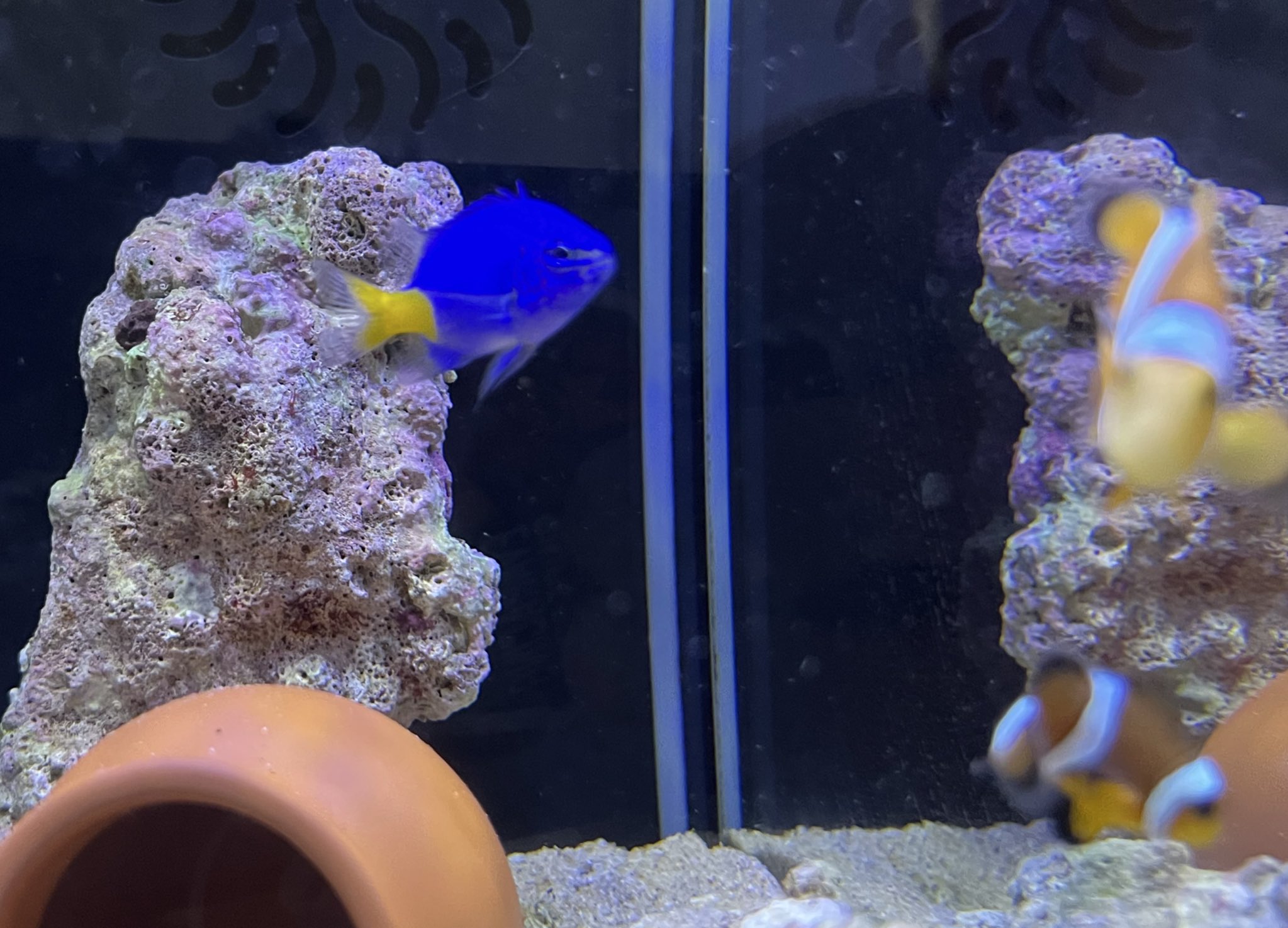 青月@11/9スラムパーク瀬戸 (@aotsukitv) / X