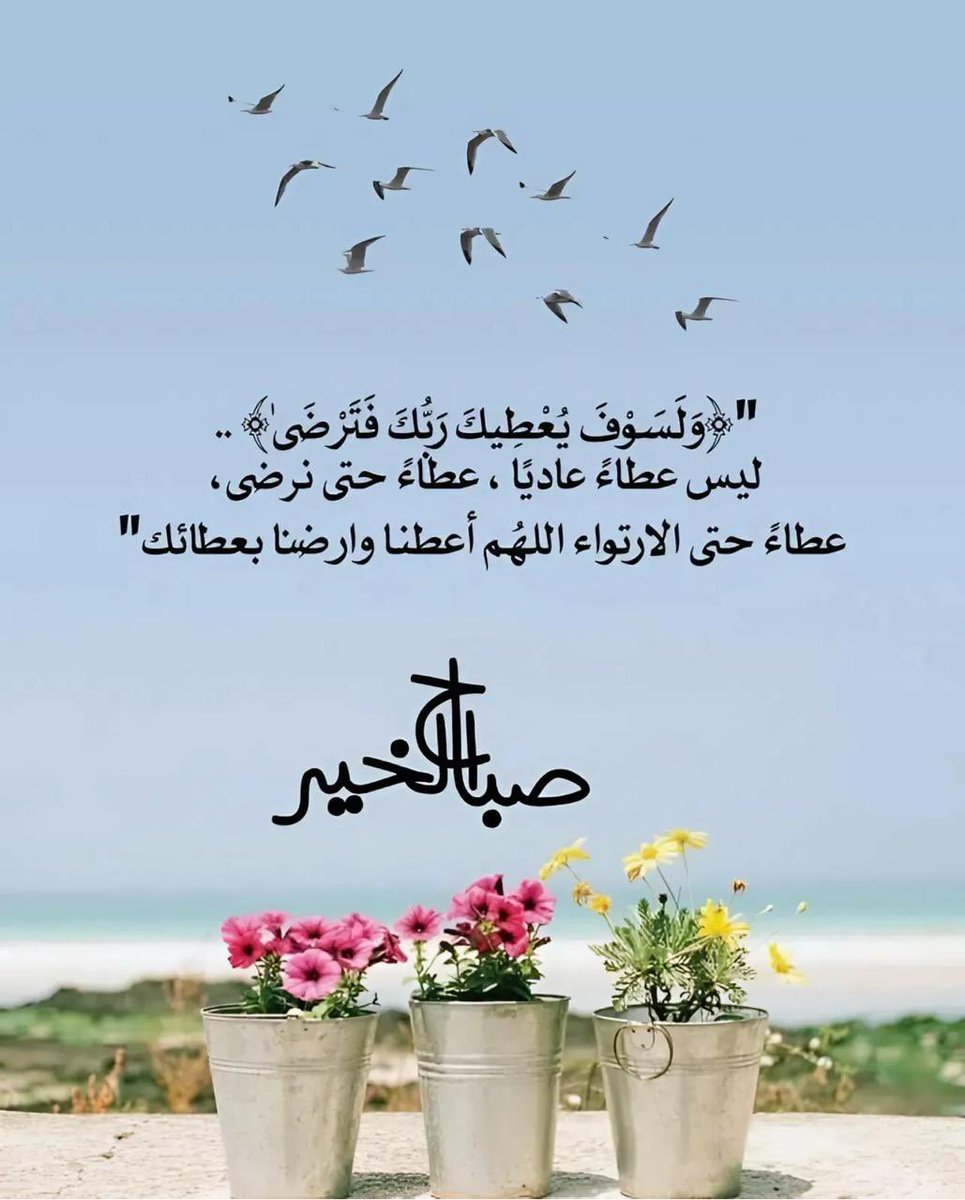 حسن العمري (@alamrihasan2) on Twitter photo 