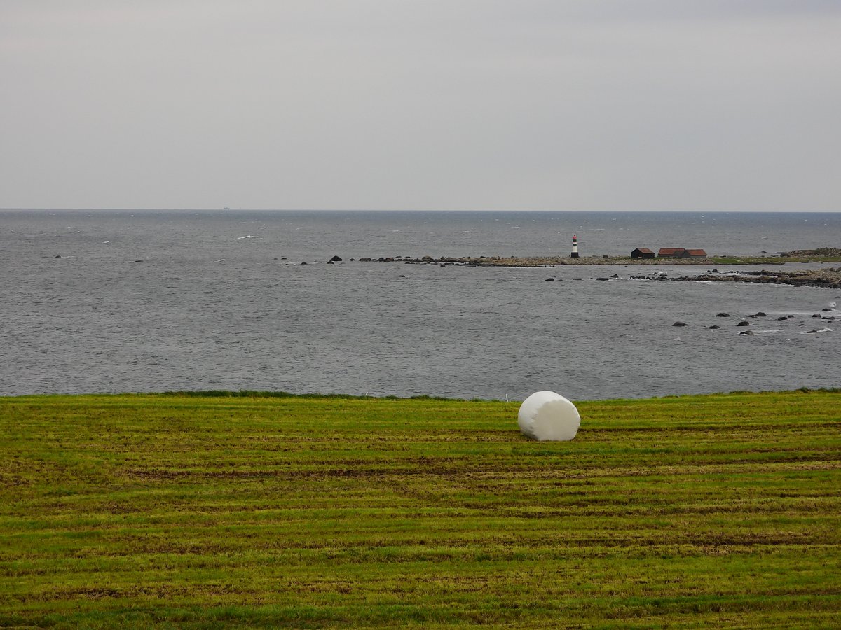 RomanP314's tweet image. Sea #view #photo