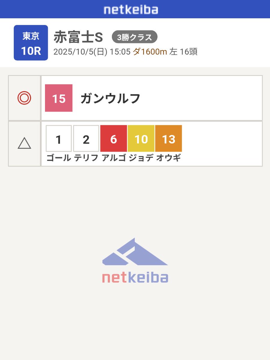 【早い者勝ち】匿名配送⭐️ヒゲダン 超レア 10周年 ベースボールT 野球 ゼット JSBB公認 軟式野球 打者用 ヘルメット 両耳 SG