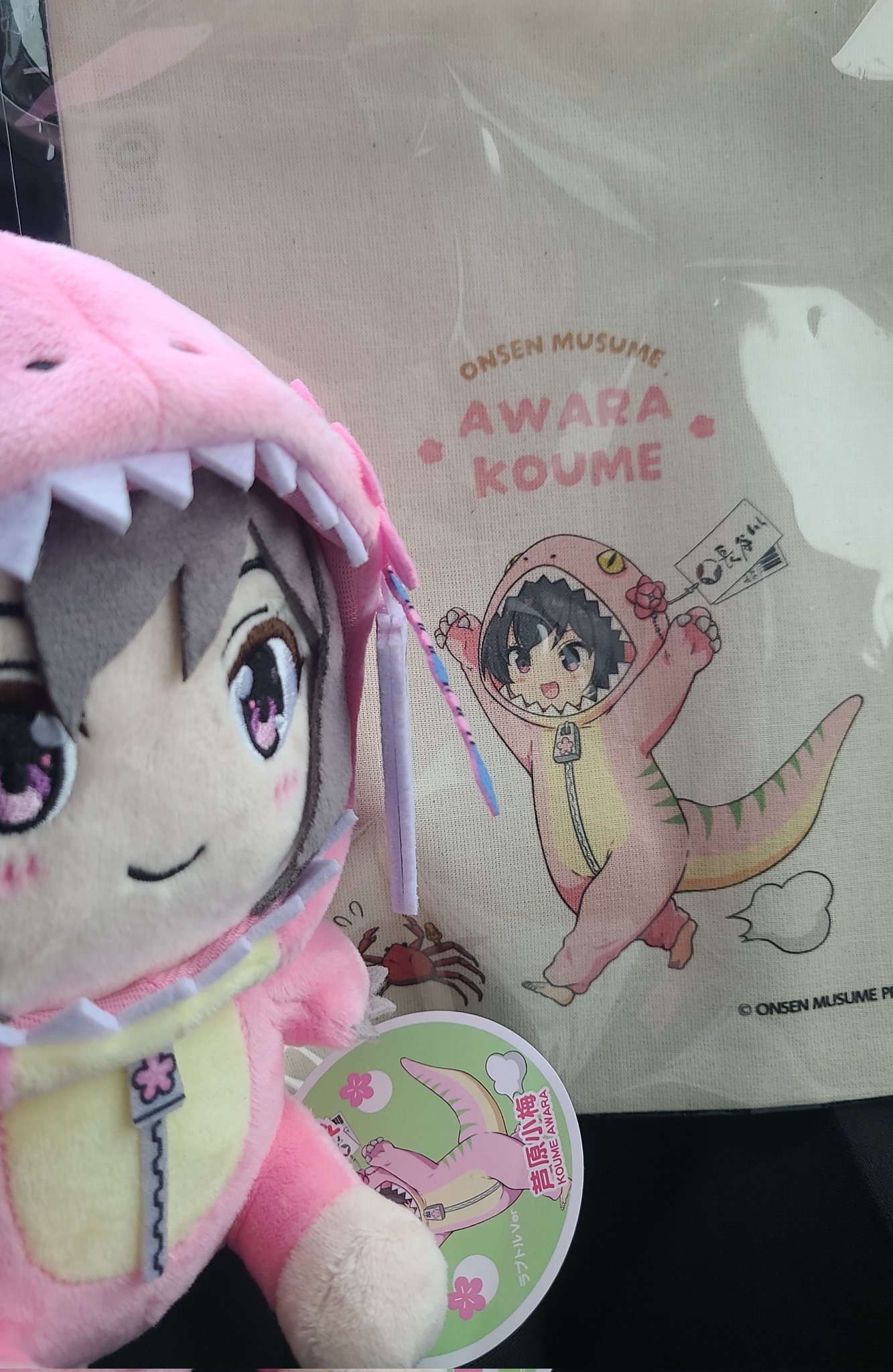 温泉むすめ ぬいぐるみ 芦原小梅 あわら温泉 きーた on X: 