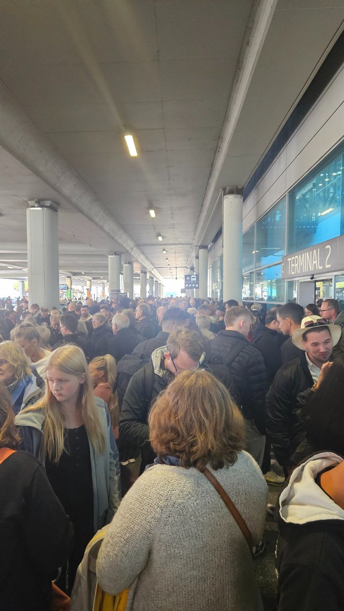 Higgins The Airedale tweet media