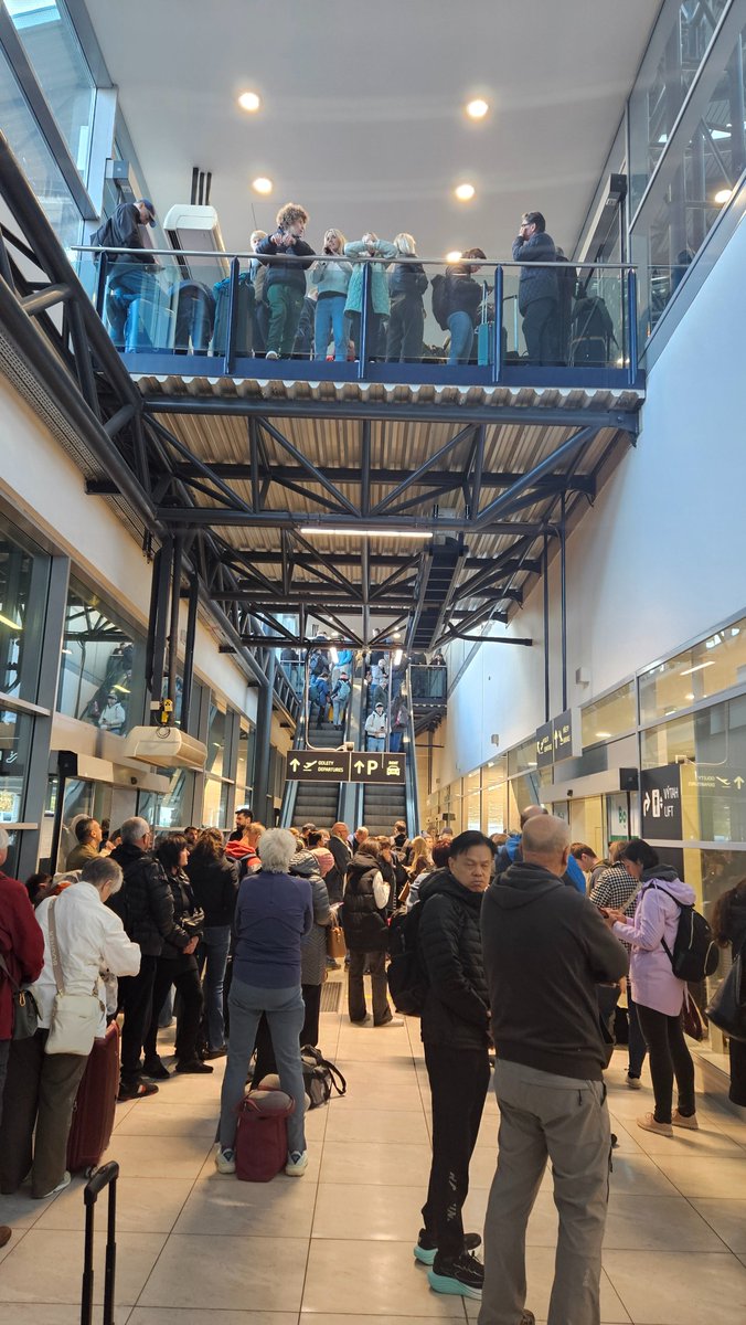 Higgins The Airedale tweet media