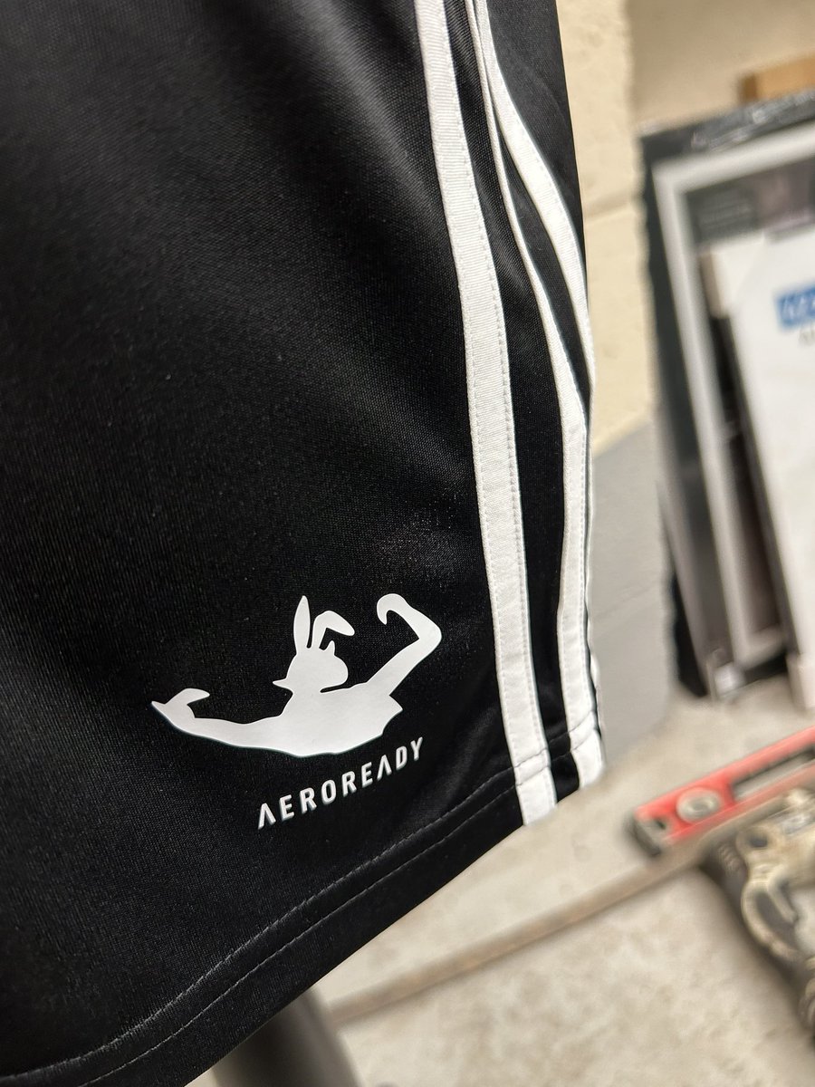 Jamie Gibbo tweet media