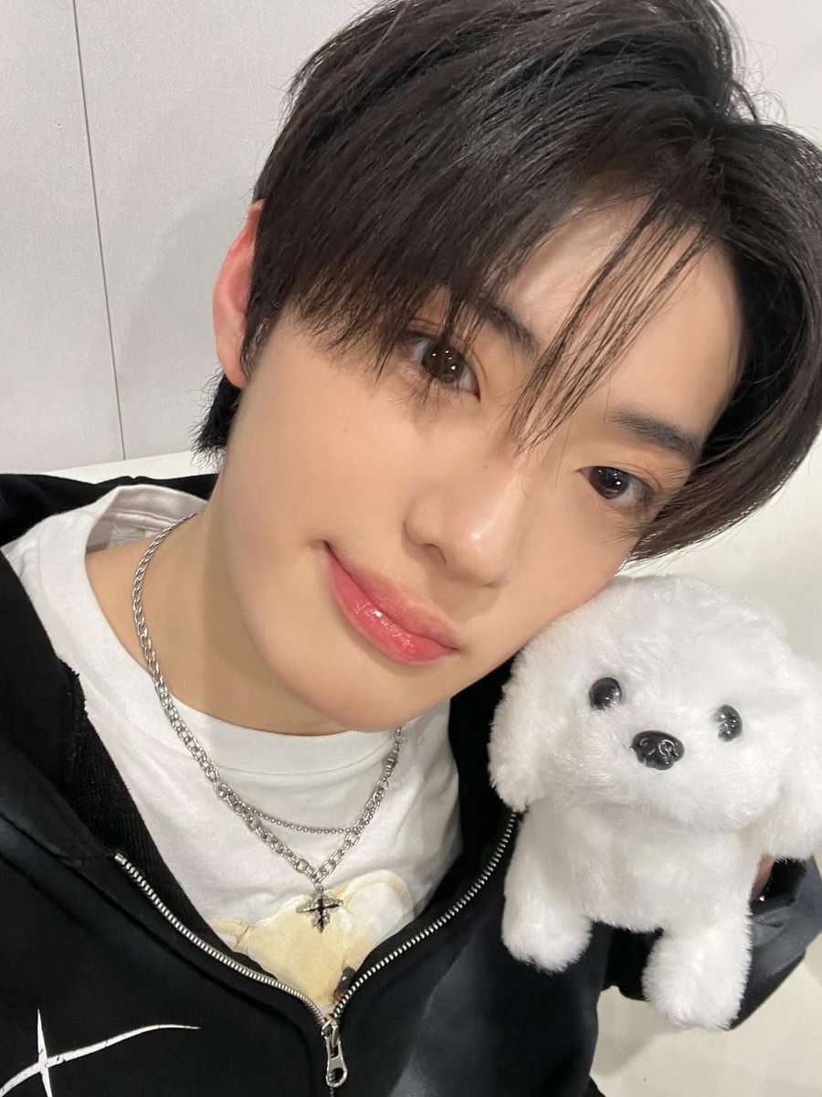 sanghyleonn's tweet photo. @AlphaThriveOne 3 dikali 4 sama dengan 12, sebagai pertimbangan yg ga tahu ini bakal berapa kilo, puppy aku gua ini katanya titip salam buat kalian. Thanks dah baca sampai sini. 😘 https://t.co/dkSlg1iKuc