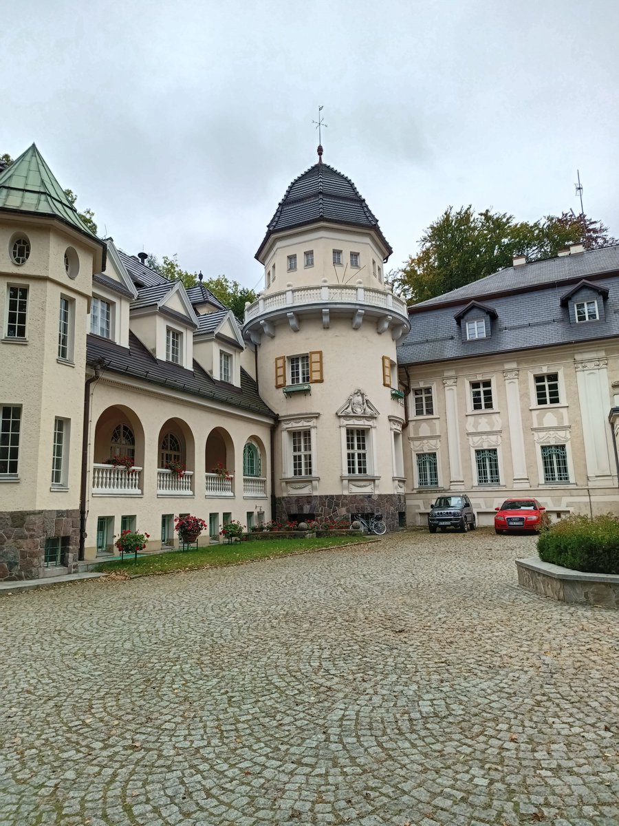 PrzystanekD's tweet image. #przystanekdolnyśląsk #bagno