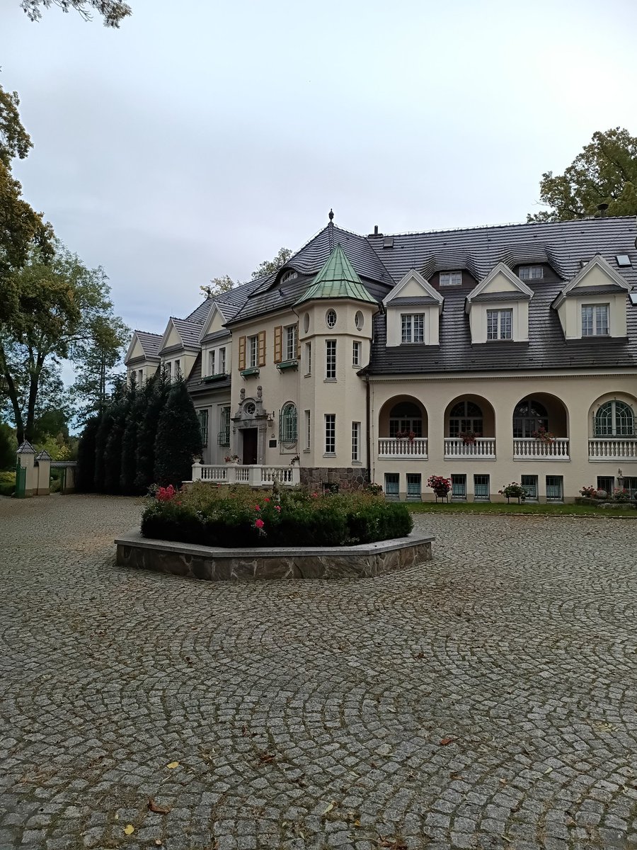 PrzystanekD's tweet image. #przystanekdolnyśląsk #bagno