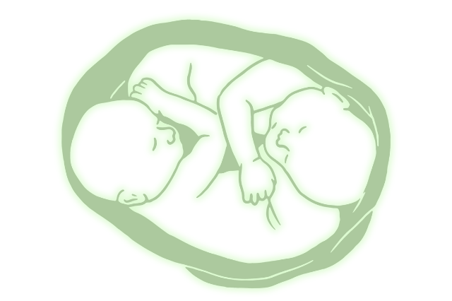 NInformatics's tweet image. Citation: Hoar, J. (2025).  The risk that is mono/mono twins! Clinical Applications Column. Canadian Journal of Nursing Informatics, 20(3). cjni.net/journal/?p=153…