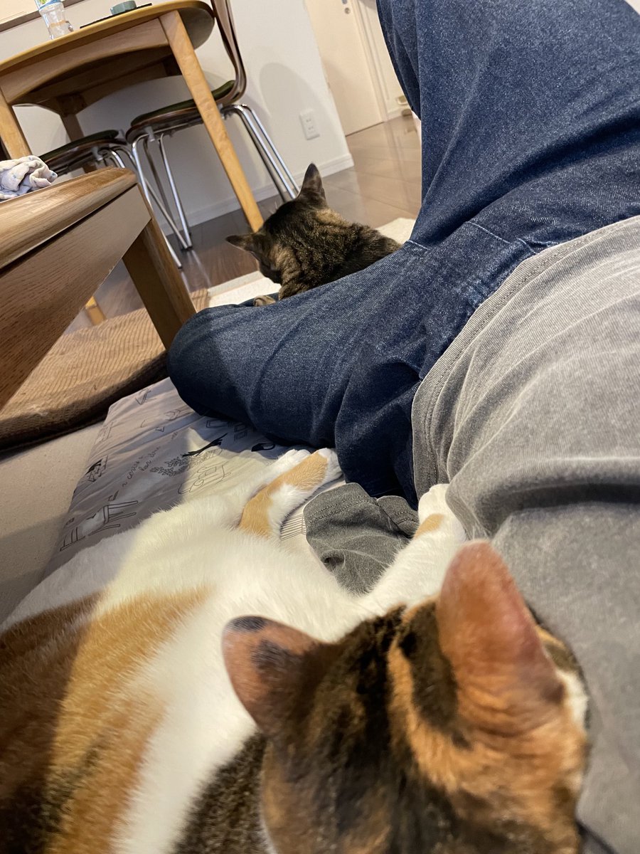 日曜昼間にゴロゴロ😪