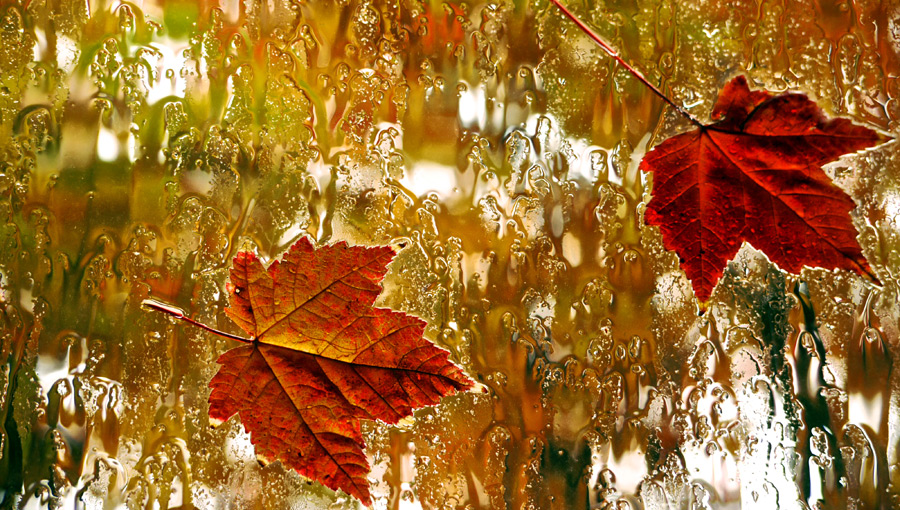 MinieHouselook's tweet photo. Je suis en train de préparer ma #PAL d'octobre et je suis sans cesse attirée par les livres de #noel alors que j'adore l' #automne 📚🍂 https://t.co/cLCDpDSy3z