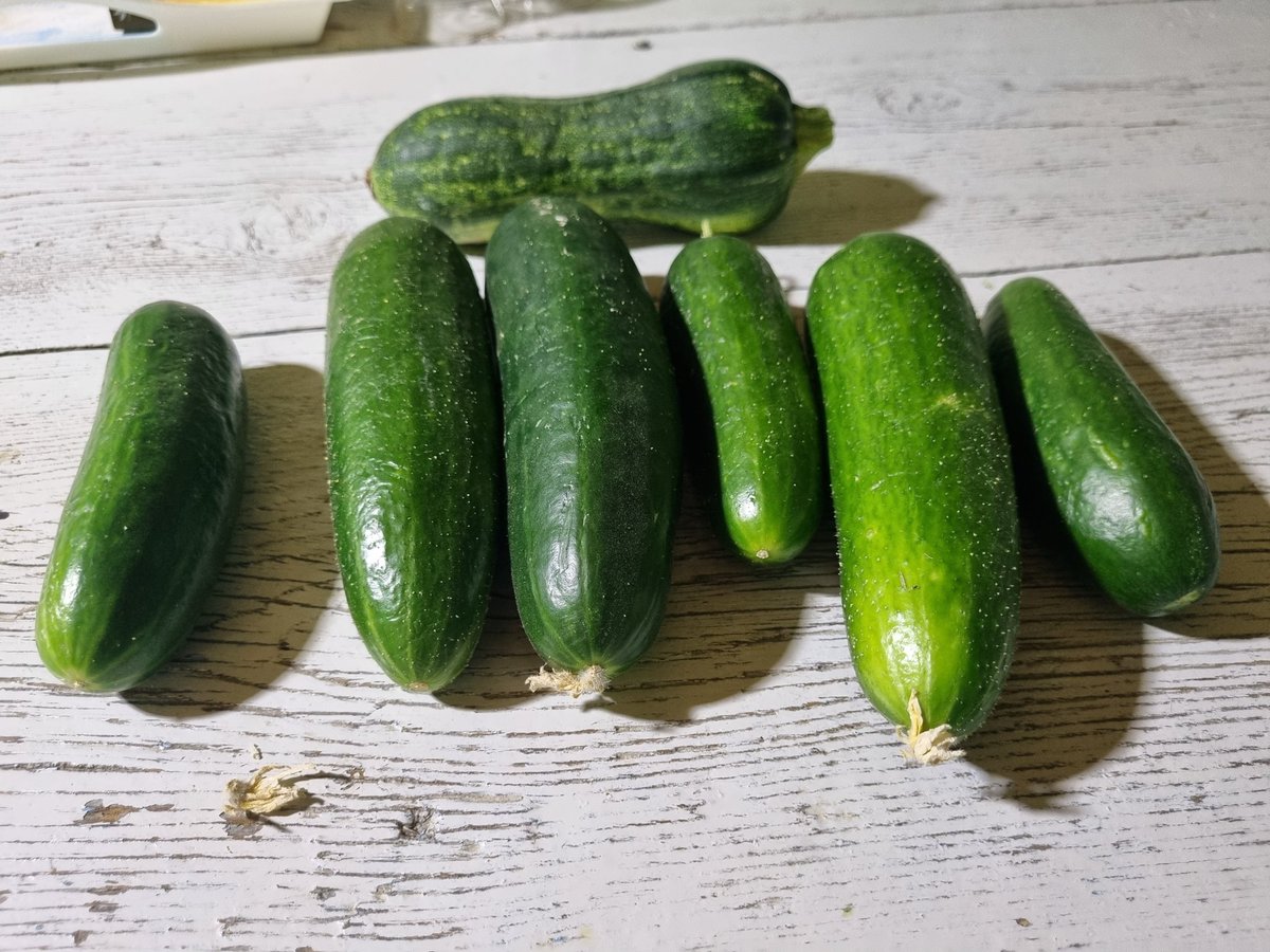 Günaydın • Good morning • Доброе утро 
Καλημέρα • Buongiorno • Bonjour 🤍