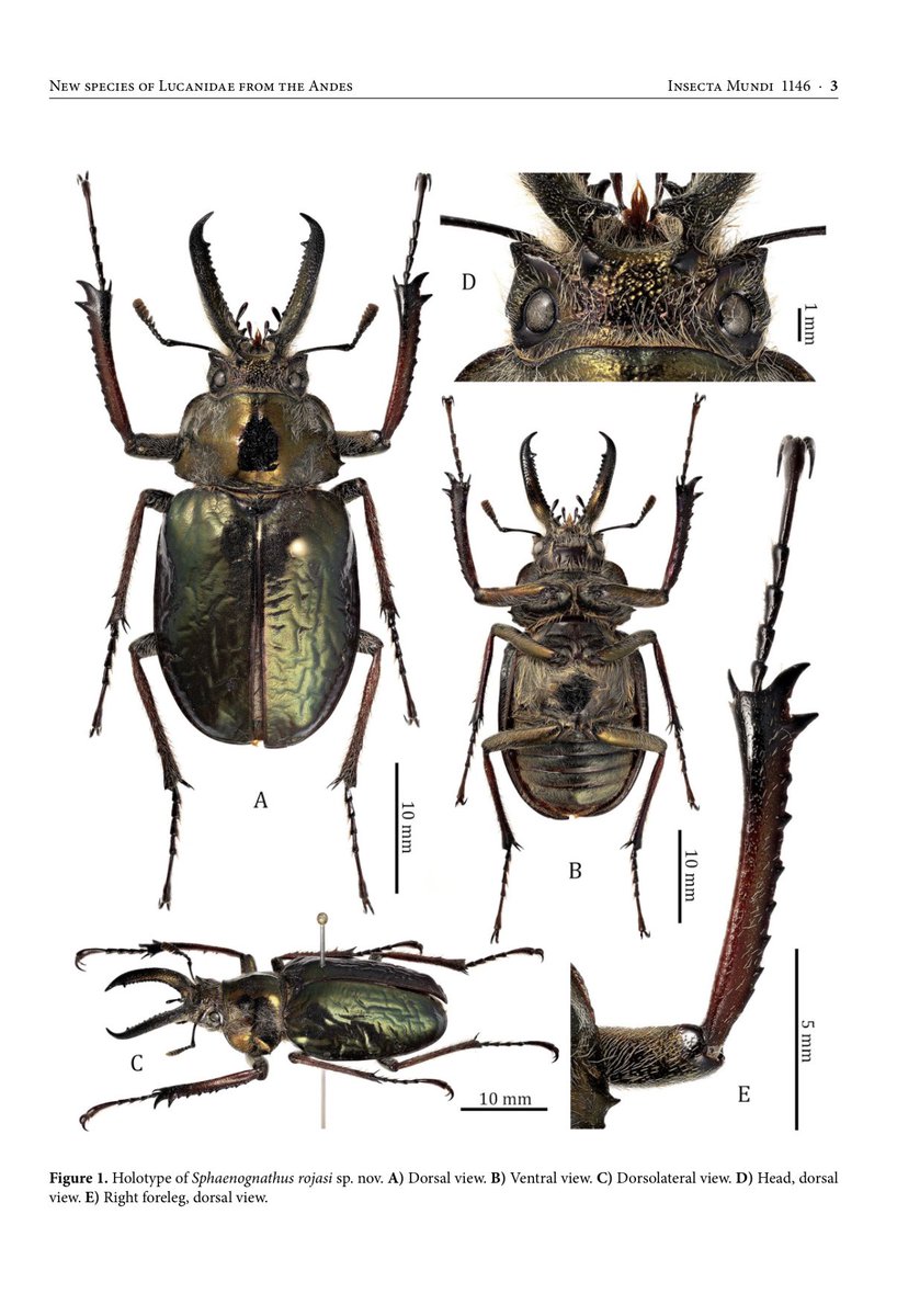 Uchi (@uchi123a456) / Posts / X