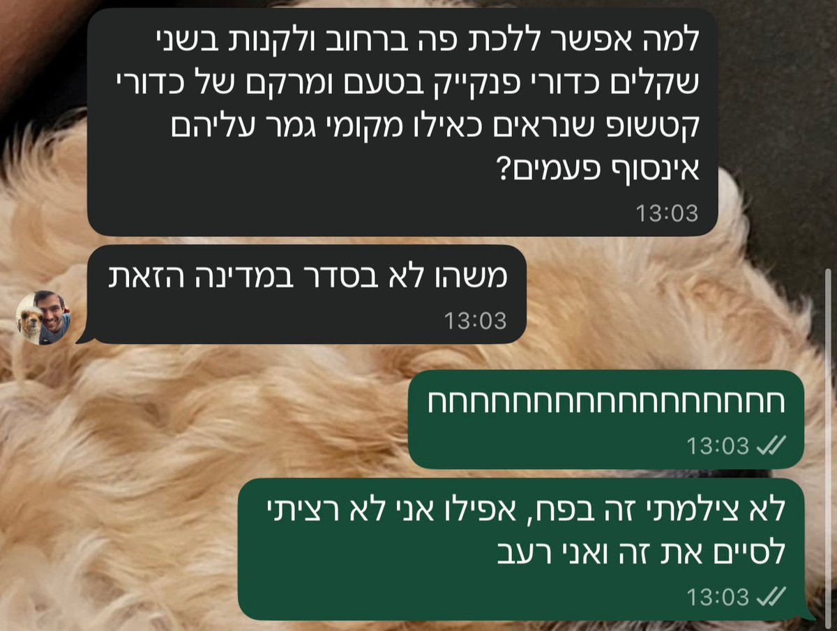 mickeyberg48's tweet photo. רזי ומיקי מטיילים בפתח תקווה https://t.co/US3naLA7Kb