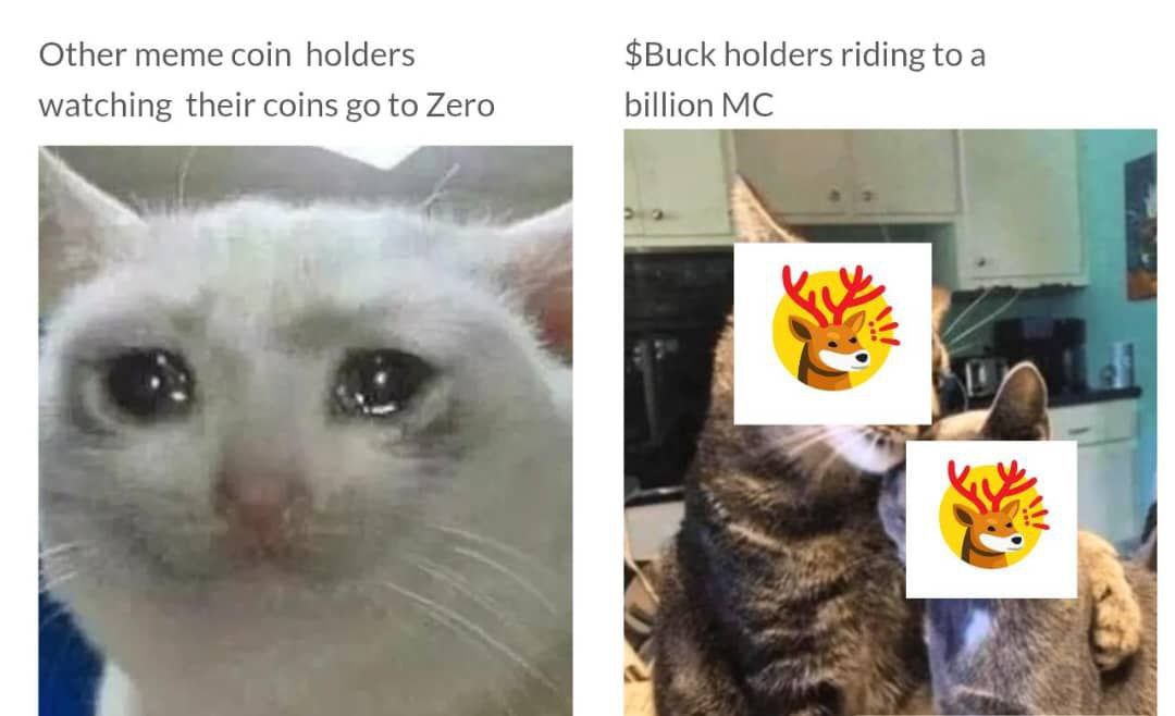 primetimecallz's tweet photo. $Buck to millions soon!

CA: 7a9bV18JwNQDZePjoXLnU69Y41GFZPuSLVtrNM9mbonk  #Solana #Memecoin #Alphagroup #Sol #solana #memecoin #bonk #BonkBuck #Bonkfun #Newmemecoin #1000X #Solana #Sol #Solmemecoin
@bonk_inu

@bonkfun
@SolportTom https://t.co/fajfbnnKyI
