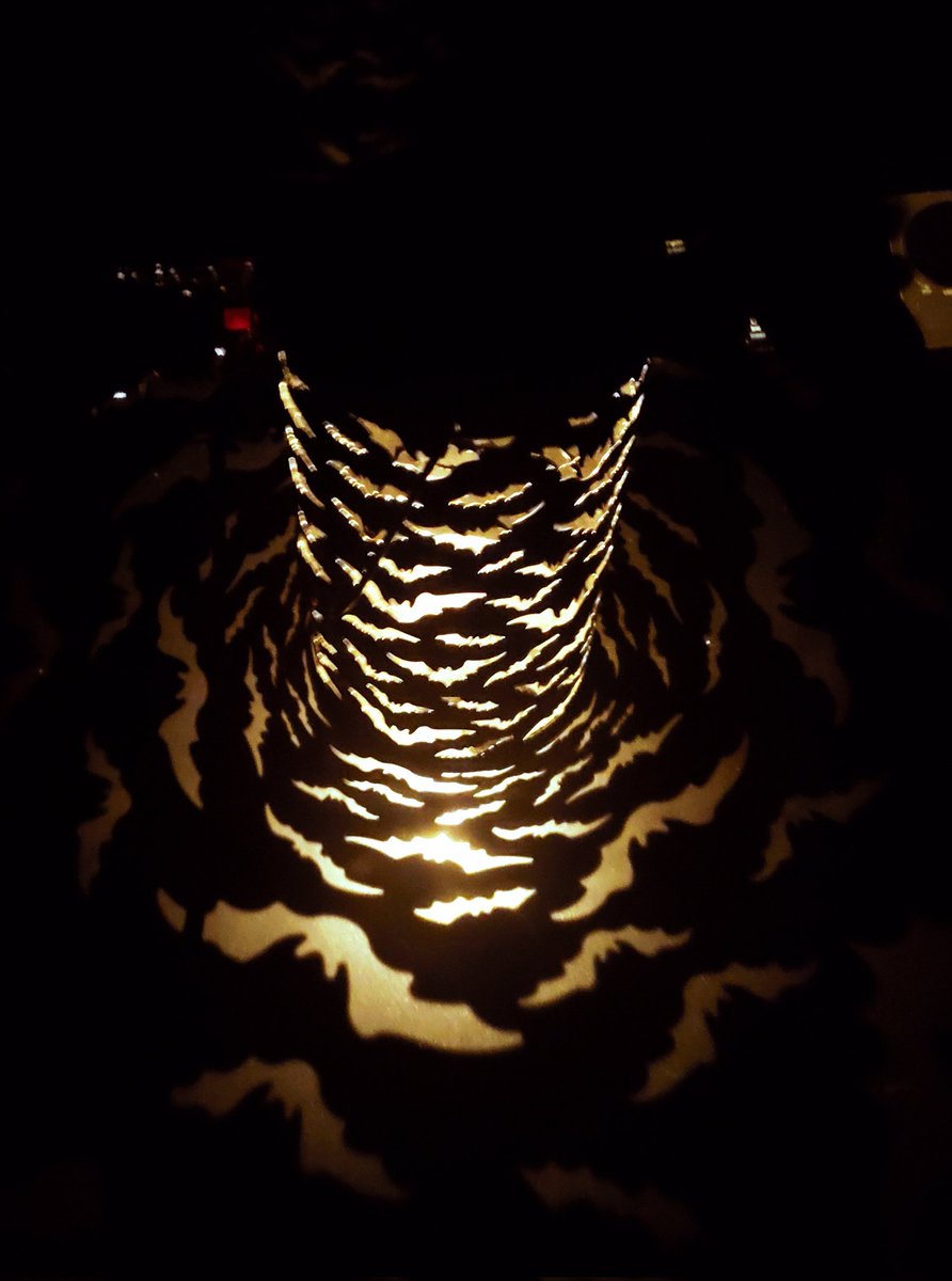 theory_query's tweet image. My bat lantern I bought at the zoo last year is so perfect for when me &amp;amp; the hubby watch #VampiresSMP ! 

Ironically, its solar powered! 😏