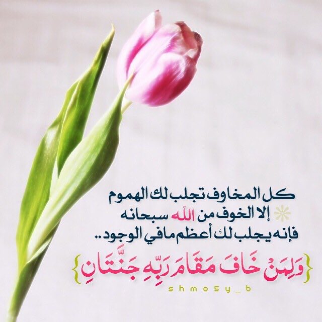 21_dareen's tweet photo. 🕊️🕊️🕊️ https://t.co/rEn5S4wt66