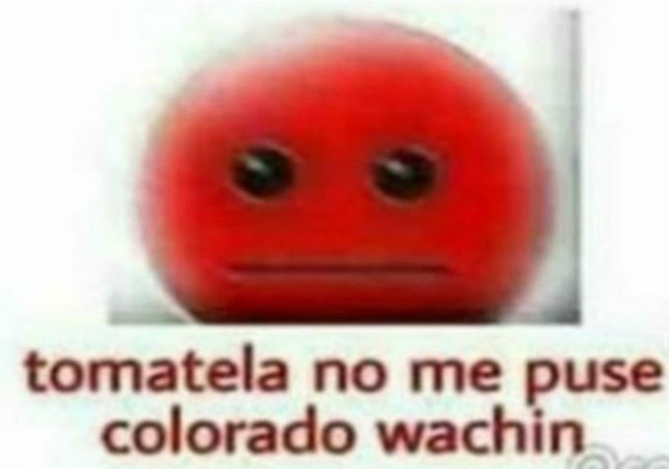 almamoretti_'s tweet photo. que VERGÜENZA, no me puede dar vergüenza todo lo que hago 😩 https://t.co/Tek2oZJAPE