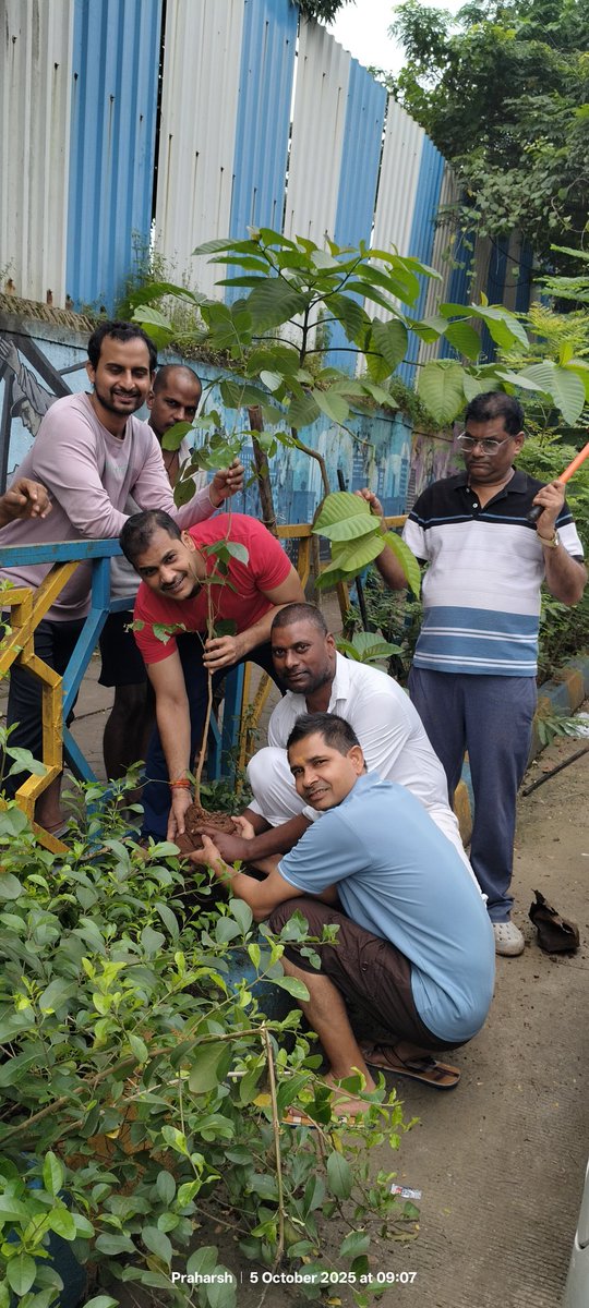 ShbFoundation's tweet photo. #441वॉ_सप्ताह (रविवार)

#Mission_Go_Green_India
#हर_मौके_पर_पेड़

5/10/25 रोड नंबर 22 वागले एस्टेट, ठाणे (प.) में जन्मदिन के नाम पर (1) पौधें सहित कुल (3) पौधों का रोपण किया गया।

नोट: यह पोस्ट पर्यावरण के प्रति प्रेरणा के उद्देश्य से पोस्ट किया गया है।
@TMCaTweetAway @deespeak https://t.co/Z73vmAjCFm