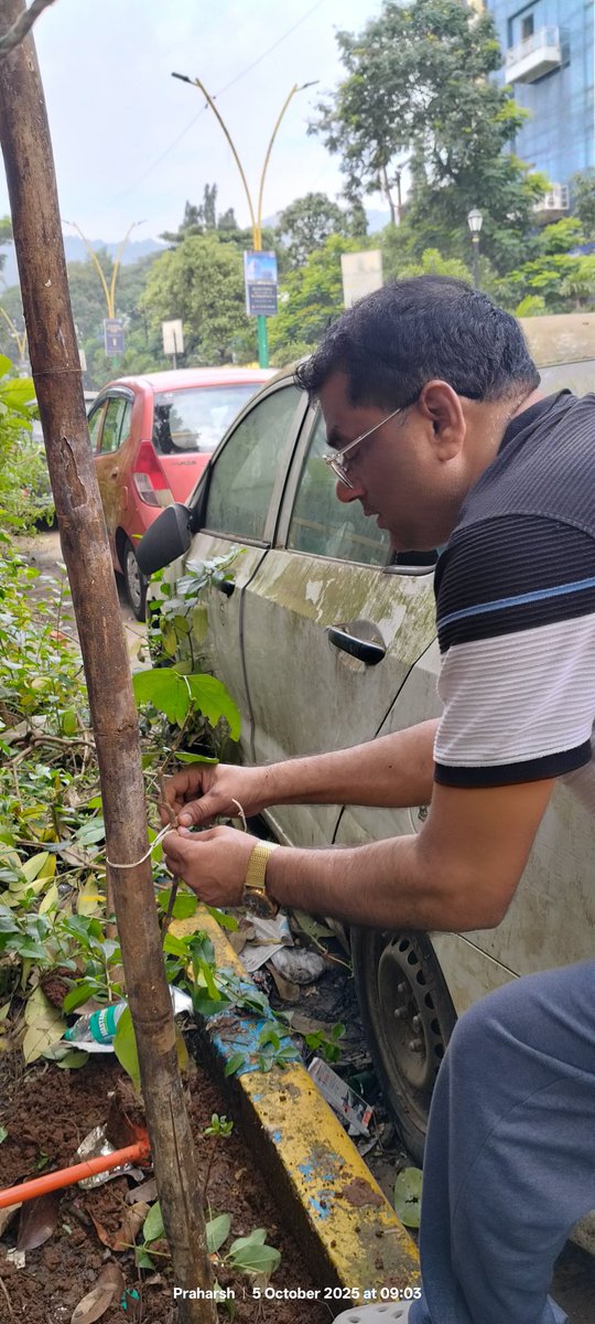 ShbFoundation's tweet photo. #441वॉ_सप्ताह (रविवार)

#Mission_Go_Green_India
#हर_मौके_पर_पेड़

5/10/25 रोड नंबर 22 वागले एस्टेट, ठाणे (प.) में जन्मदिन के नाम पर (1) पौधें सहित कुल (3) पौधों का रोपण किया गया।

नोट: यह पोस्ट पर्यावरण के प्रति प्रेरणा के उद्देश्य से पोस्ट किया गया है।
@TMCaTweetAway @deespeak https://t.co/Z73vmAjCFm