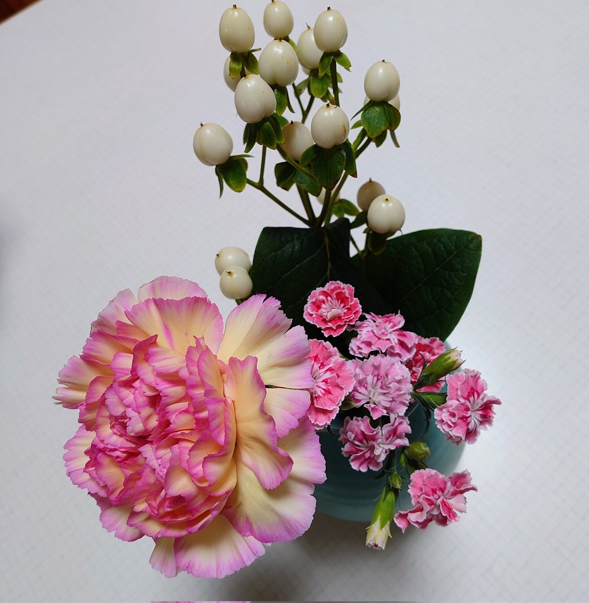 昨日は独身の息子が素敵な女性を連れて帰省❤
私達が用意したお花とお土産に頂いたお花がテーブルに✨️
はな🐶もご機嫌でした🥰
あと1ヶ月で16歳!
このまま行けそう!
#ポメラニアン
#犬好きさんと繋がりたい 
#秘密結社老犬倶楽部