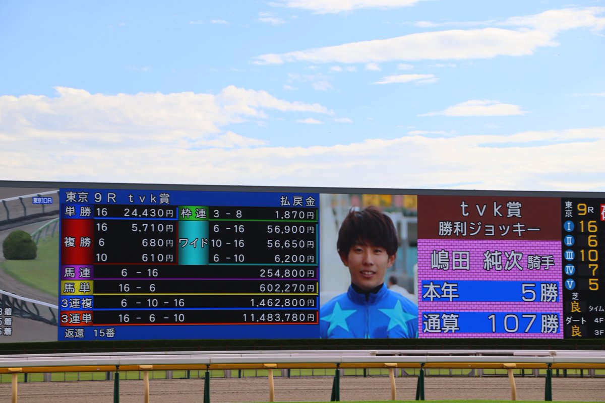 aaaisb's tweet image. 東京9Rジュドー嶋田、大穴ぶち開けて勝利！出資者の人たちはおめでとう！

#silkhc