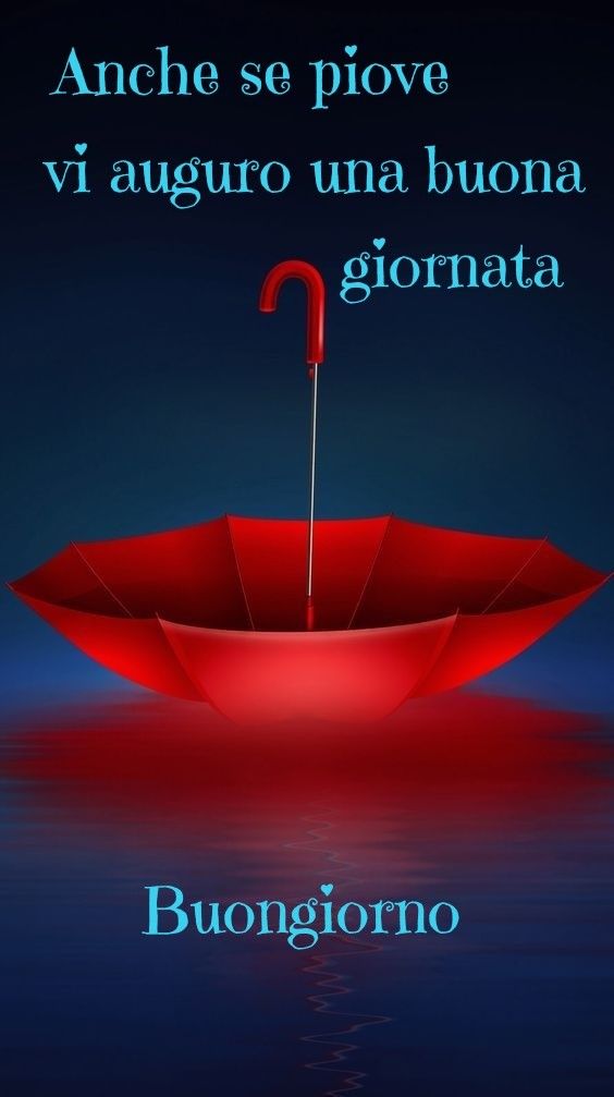 GrassoMaria6's tweet photo. Buona domenica 🌂 a tutti https://t.co/6hqsk66zL3