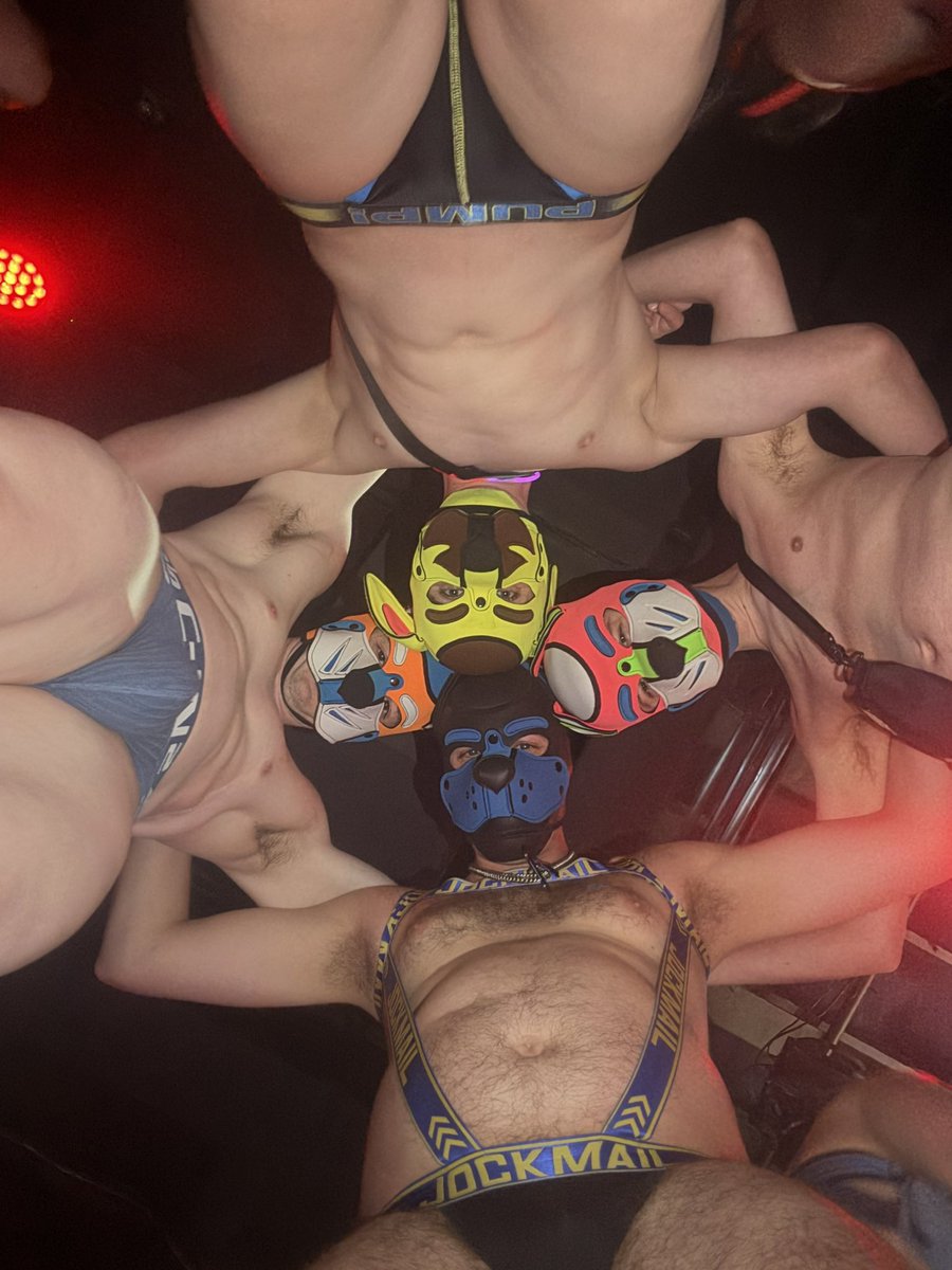 Four pups, one great night — wagging tails all around 🐾

💛<a href="/GoldeyboiAD/">Goldeyboi</a> 
🧡 <a href="/DamienTheLion_/">Damien 🦁</a> 
🩷 <a href="/PupClover/">🍀 CLOVER DOG 🍀</a>