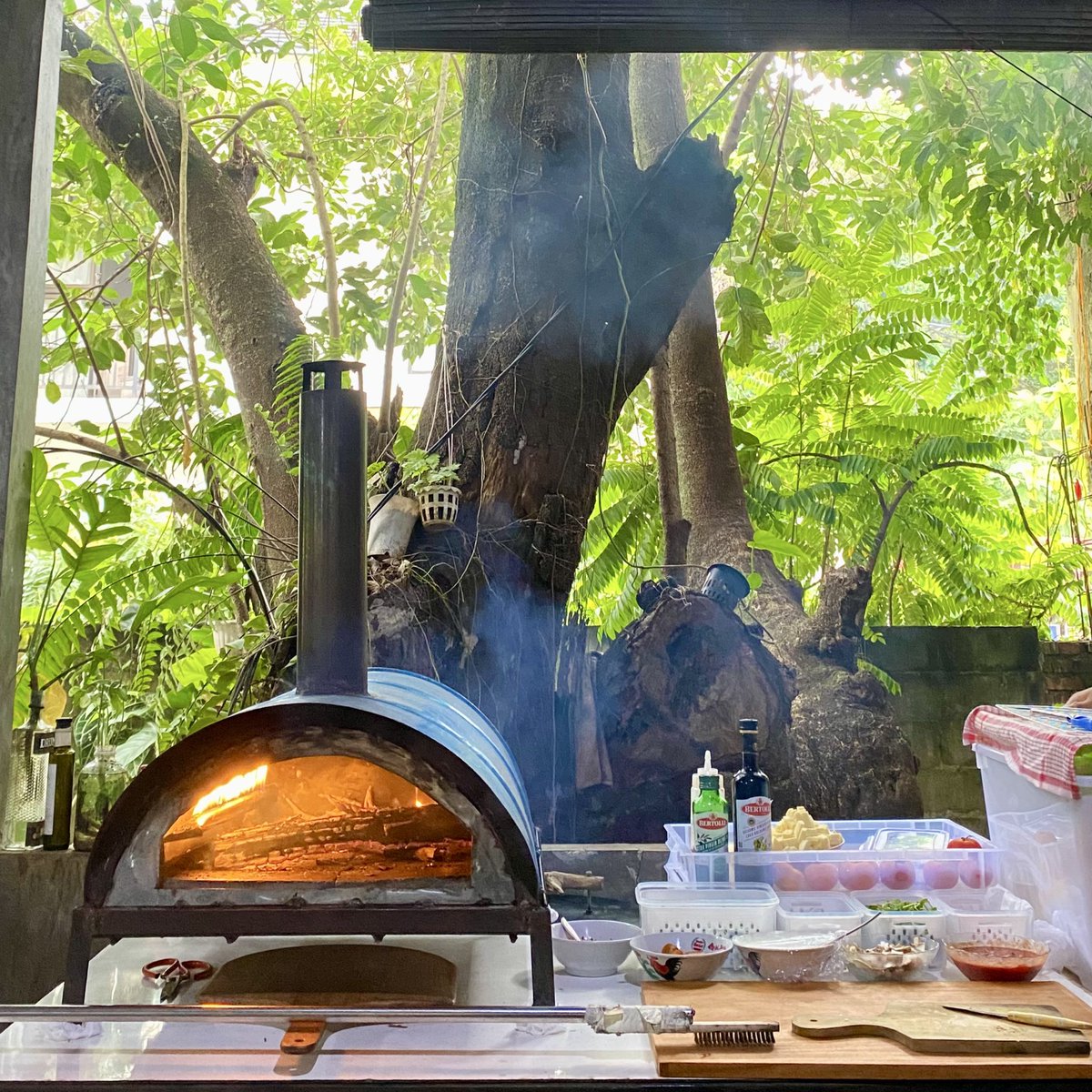 🏰🪸 tweet media