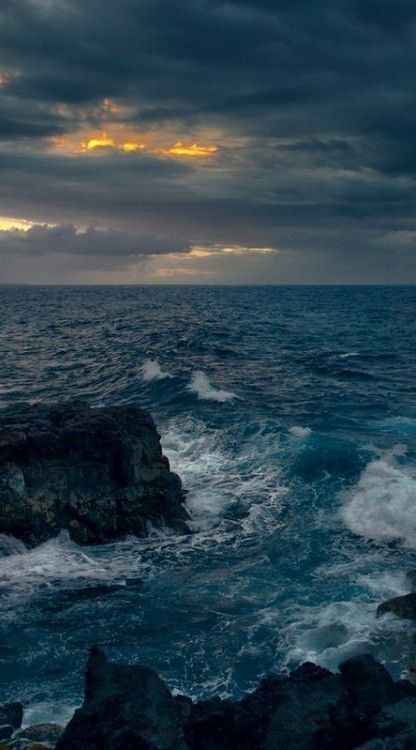 ocean (@hawsett4) on Twitter photo 