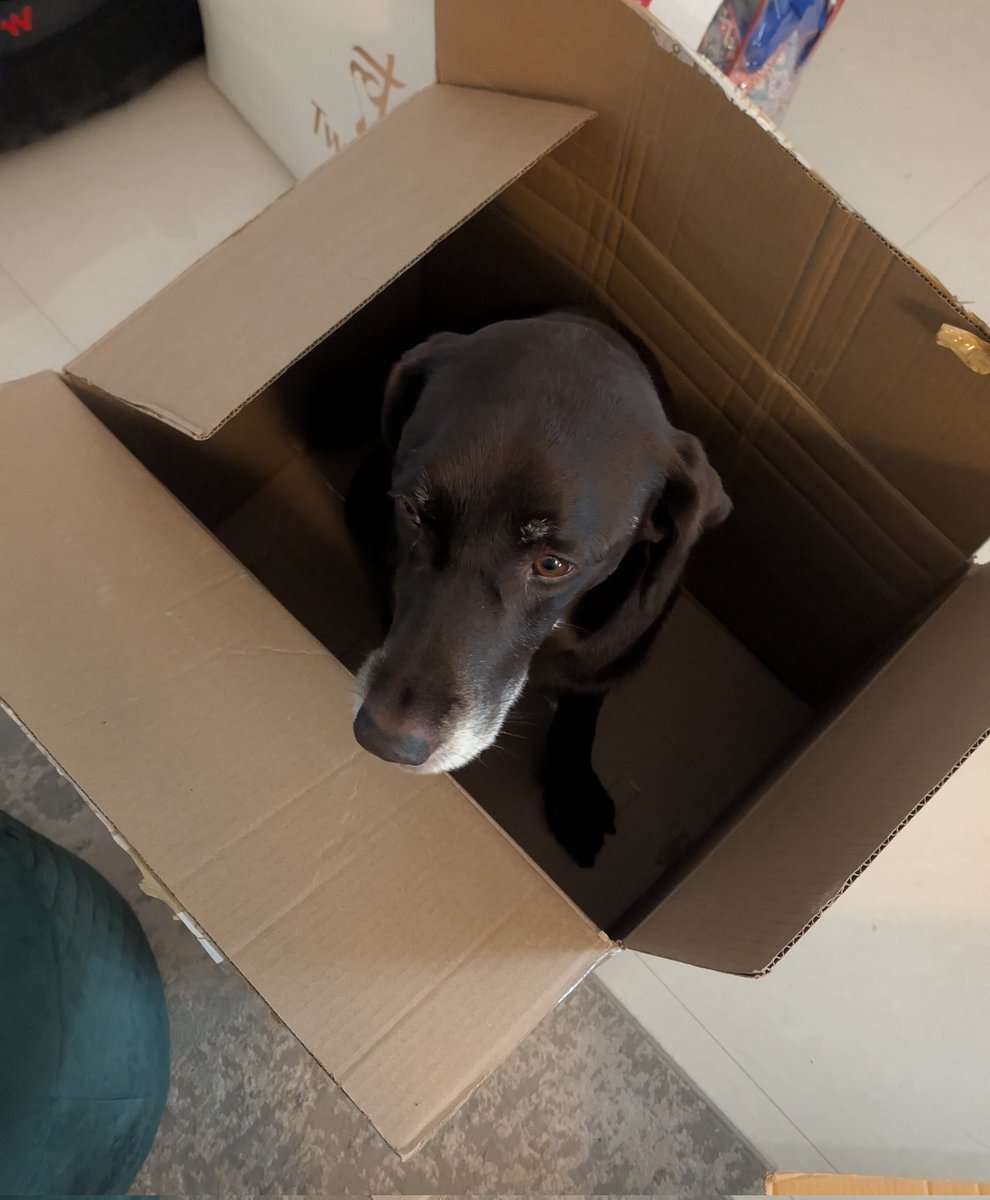 Moving and the first thing we packed