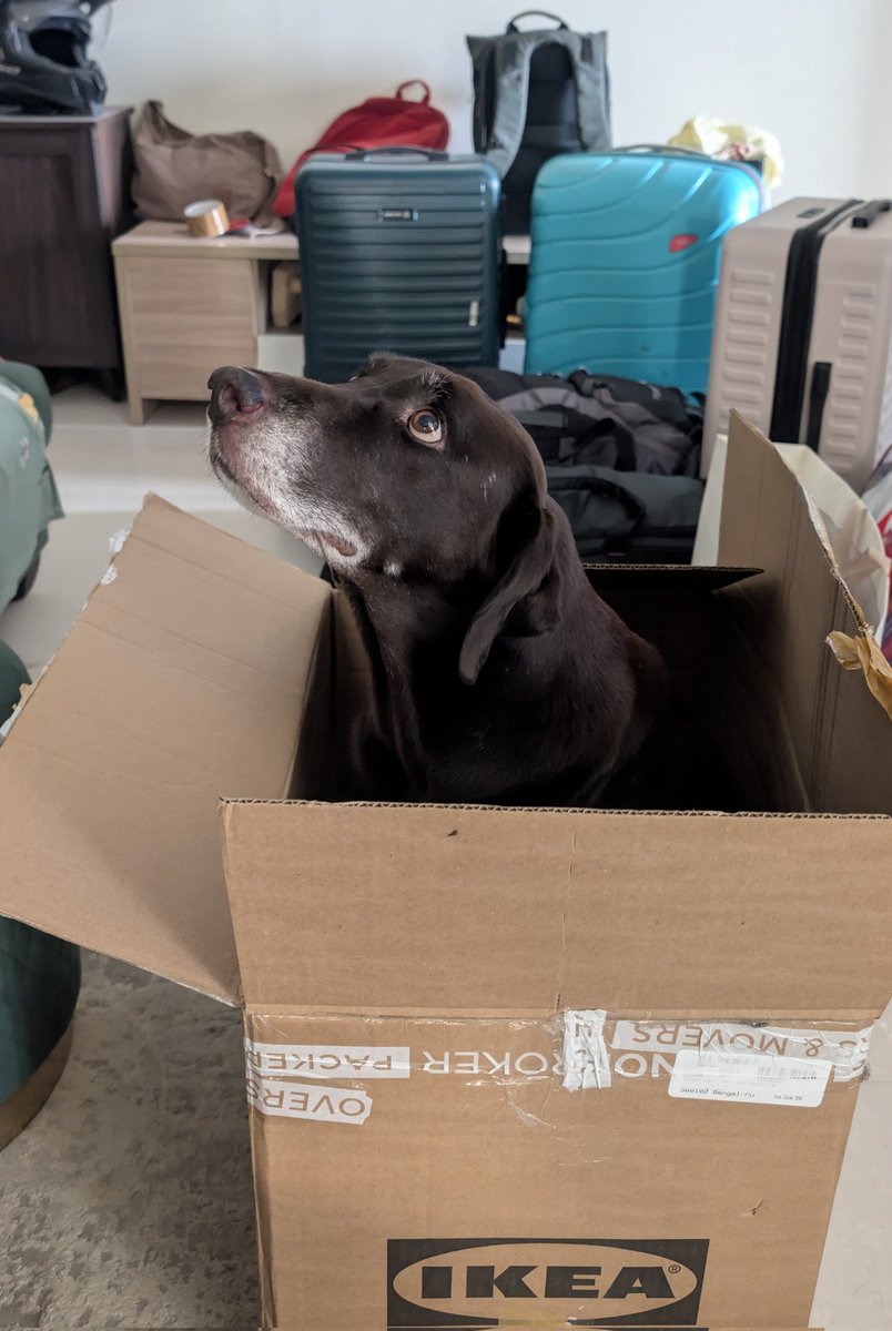 ankitjey's tweet image. Moving and the first thing we packed