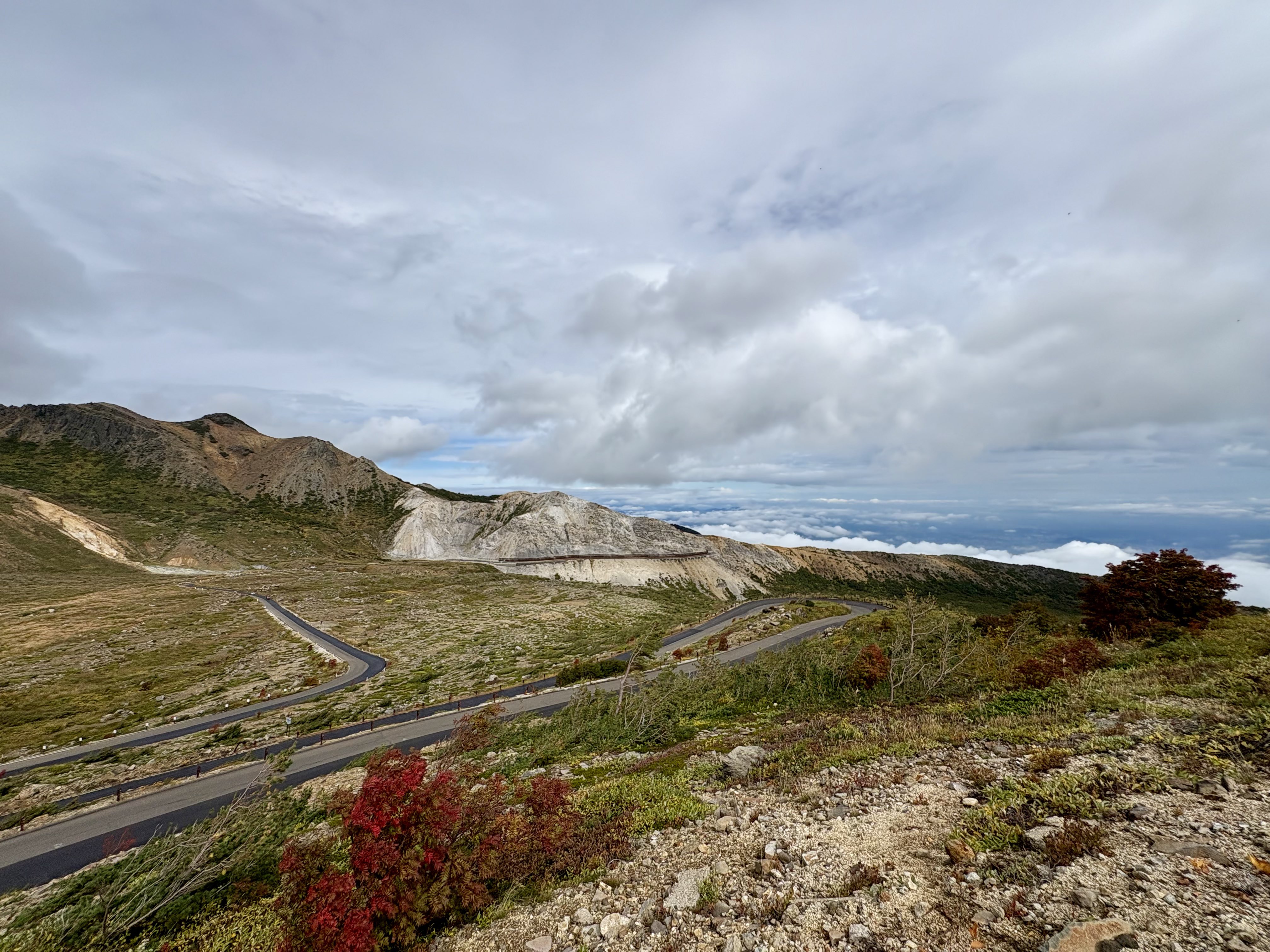 愛してナイト　セル画　背景画付　08 愛してナイト セル画 背景画付 08 愛してナイト セル画 背景画