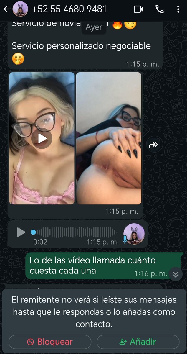aldonito tweet media