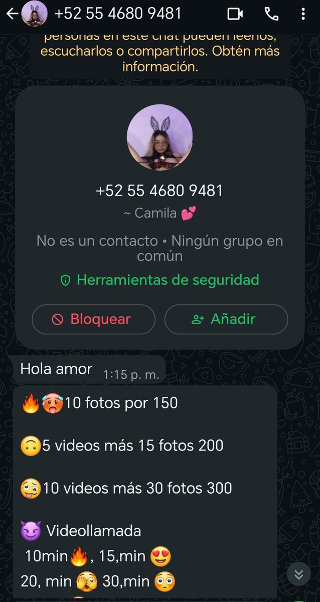aldonito tweet media