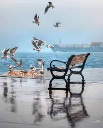 #وعود
لا خير فى وعد إذا كان كاذباً، ولا خير في قول إذا لم يكن فعلاً،
🥀✋🥀
#صباح_الخير_والسعاده 
#زانت_الاجواء
#أسطول_الصمود_العالمي
#اليوم_العالمي_للمعلم