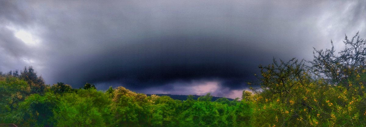 tourthewild2's tweet photo. The first drops of rain kiss the parched earth, the forests of Central India transforms to a living symphony —the  canopies glisten, the scent of wet soil rises, and the wilderness awakens. https://t.co/8d3QnYeGSR