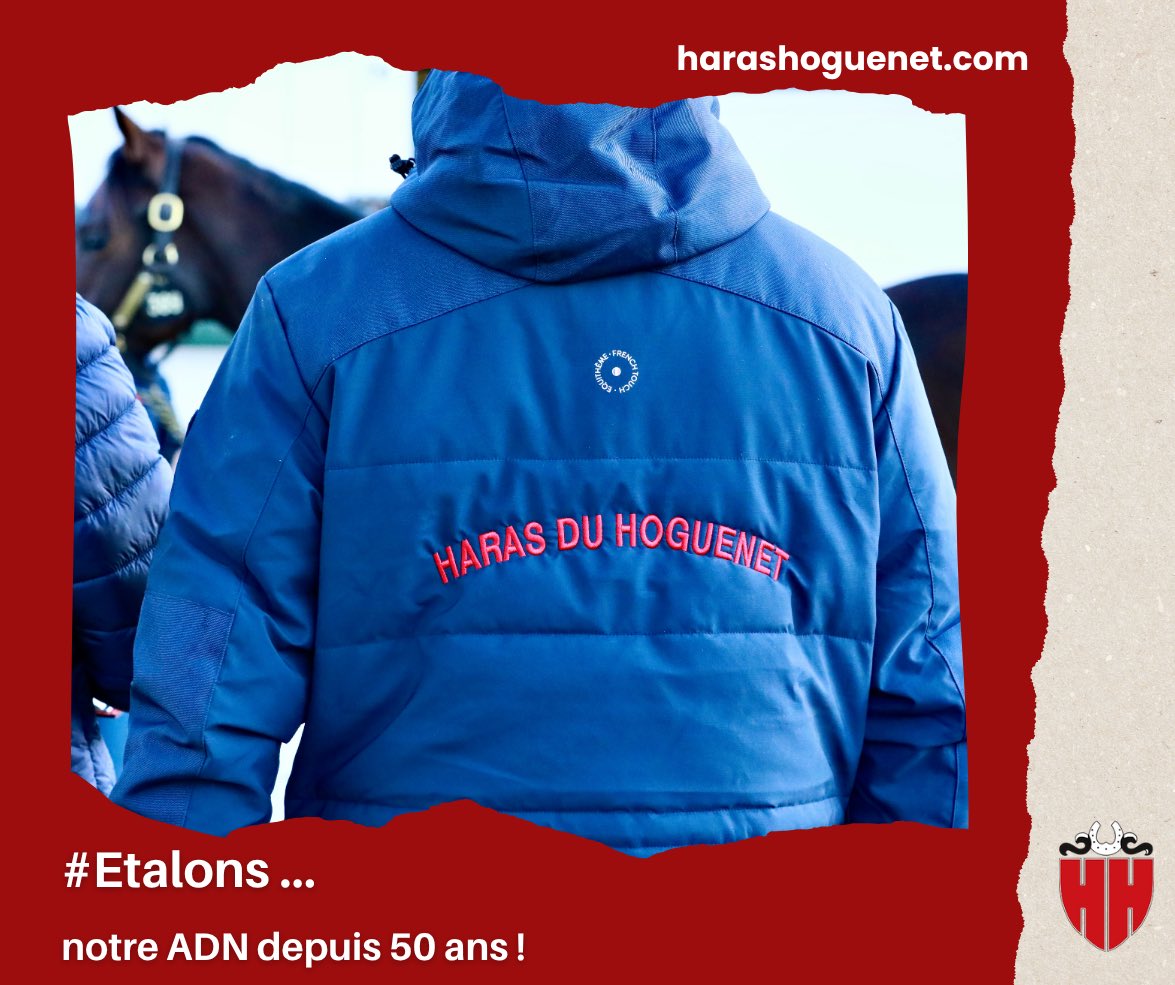 <a href="/harasduhoguenet/">Haras du Hoguenet</a>