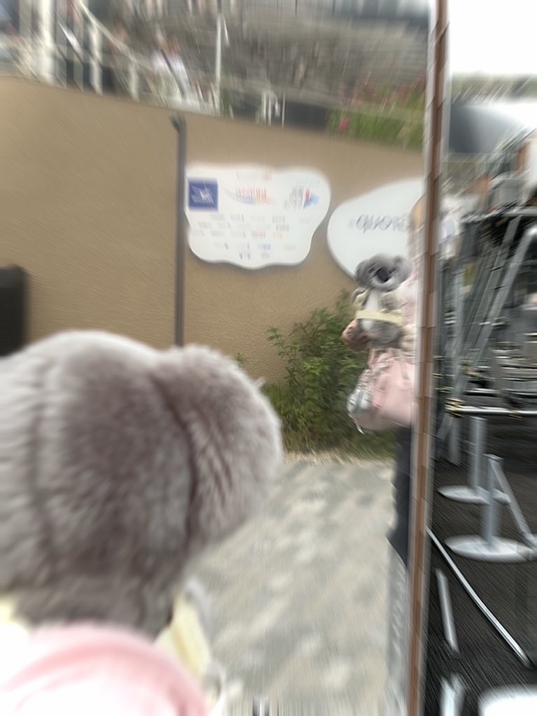 mchn25_m's tweet photo. #100日後ヌルになるパビリオン

鏡の中の自分を見てビックリするぶるぶるコアラ🐨 https://t.co/5GUAdeEo9l