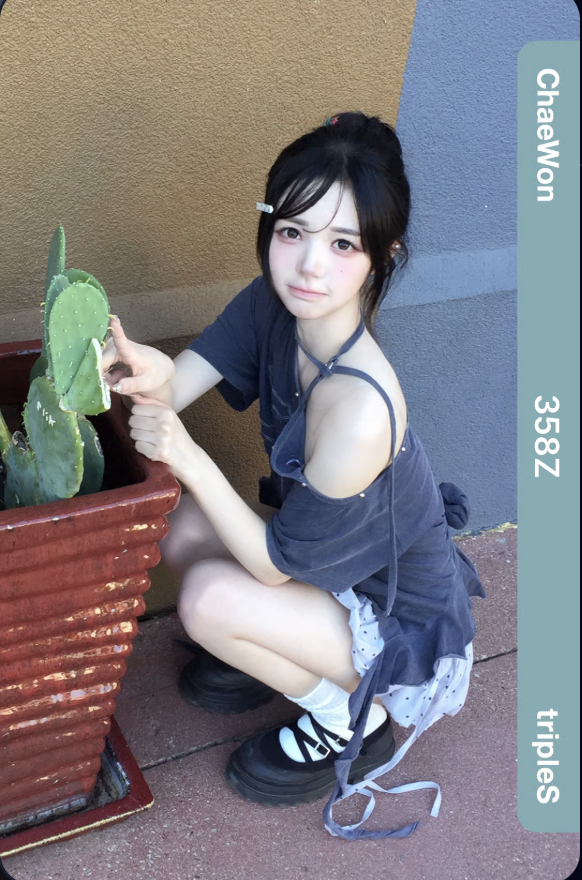 TNISaint02's tweet photo. Promised 400 follower ga, giving away this Chaewon aa358!

Like, RT, comment ID and post a picture of your favorite animal (or pet)! https://t.co/4Ed6bwqnPC