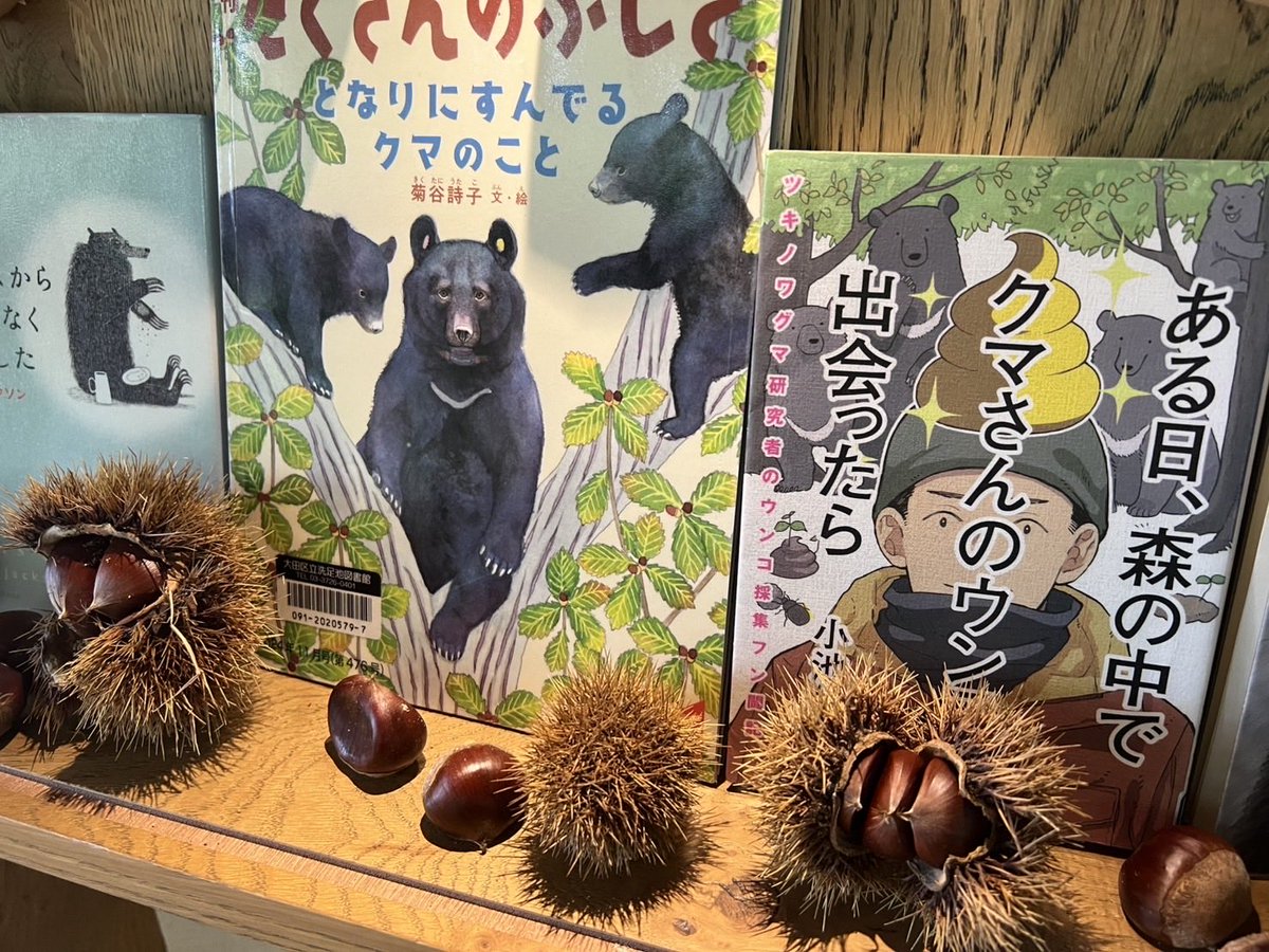 今回のテーマは「クマ」です🐻 絵本に登場するクマは、愛らしく親しみ