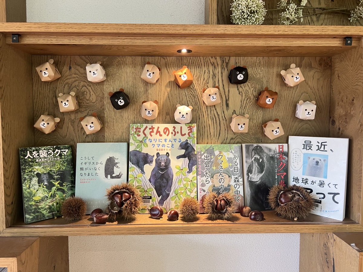 今回のテーマは「クマ」です🐻 絵本に登場するクマは、愛らしく親しみ