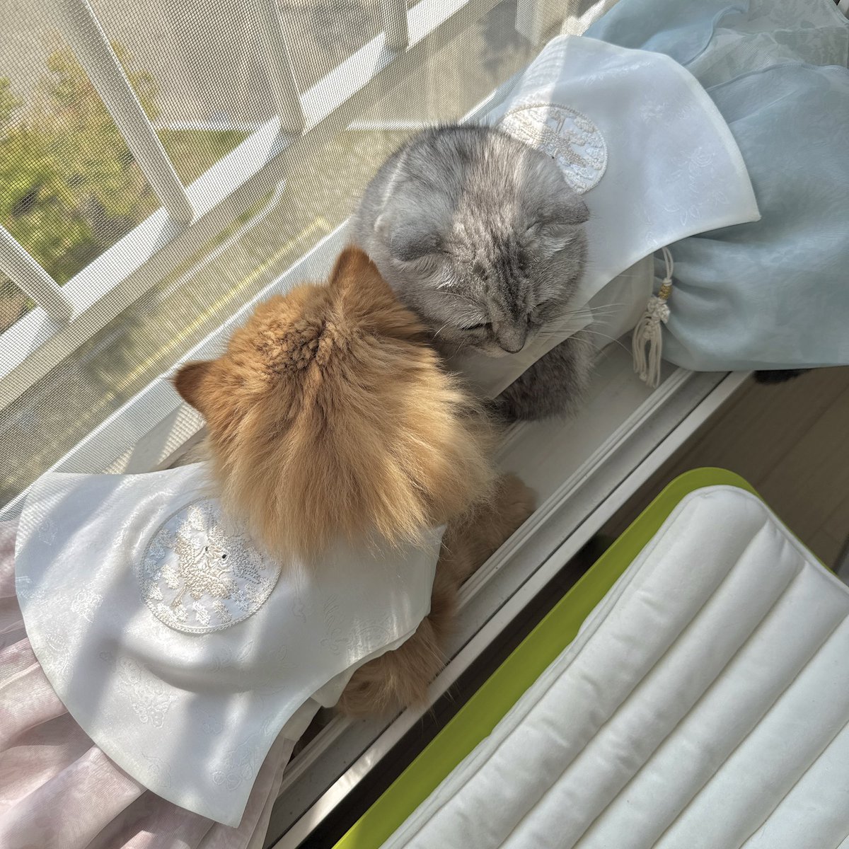 안농하세요 
즐거운 한가위 되세요♡★🍤

(한복은.. 매관매직.했습니다)