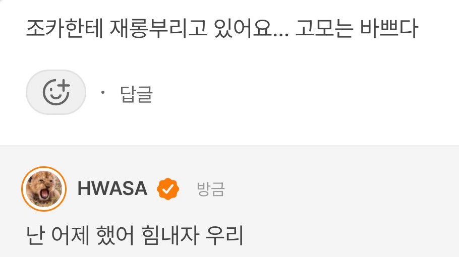 👤 i'm playing with my niece/nephew… Auntie are busy
🦁 i did that yesterday. let's hang in there

cute ㅋㅋ