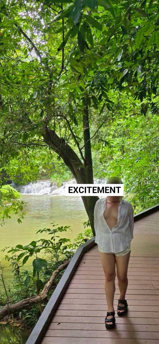 Excitement tweet media