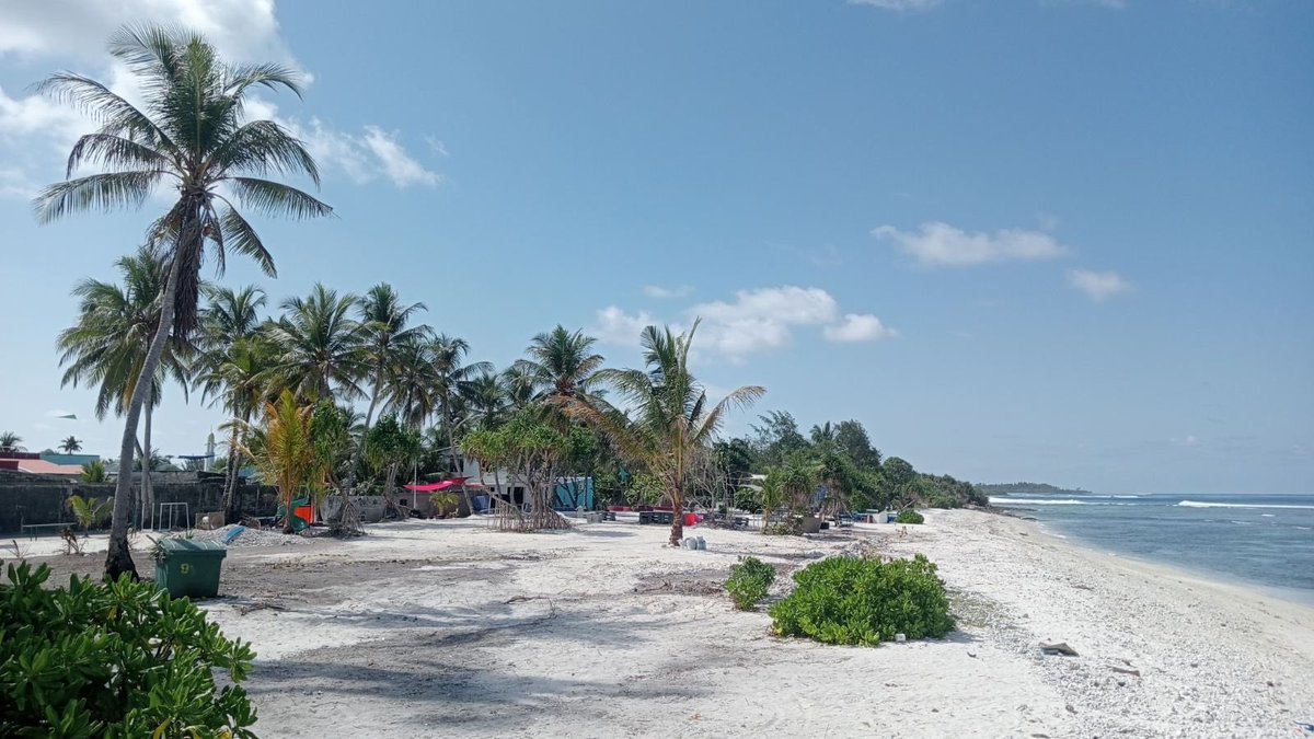 ގދ.ތިނަދޫ ދަނޑެކޮޑޭ ރައްޔިތުންގެ އެދުމުގެ މަތިން ޒަމާންވަންދެން ވައުވެފައިވާ ސަރަޙައްދު ސާފުކޮށް ބިން ލެވެލްކުރުމަށް މިނިސްޓްރީގެ ޕަބްލިކް ވަރކްސް ޑިޕާޓްމަންޓުގެ ތިނަދޫ ސައިޓުން ކުރި މަސައްކަތުގެތެރެއިން. މި މަސައްކަތް ކުރިއަށް ގެންދިއުމުގައި އެސަރަޙައްދުގެ ރައްޔިތުންގެ