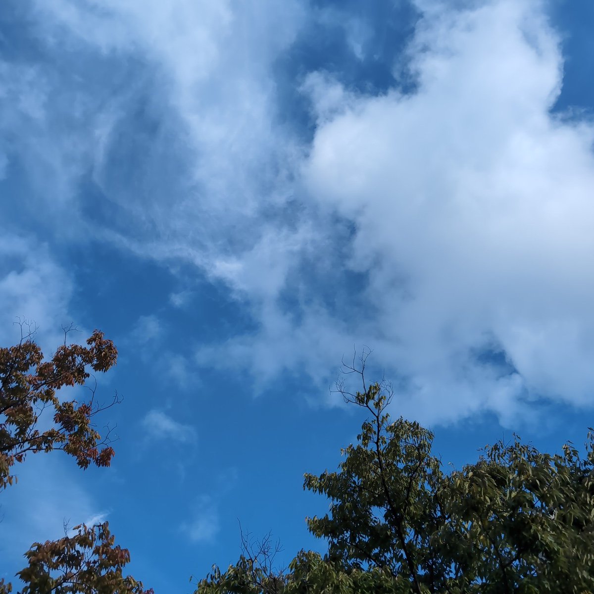 風が清々しい🍃
すっかり秋めいてきたなぁ🪾🍁