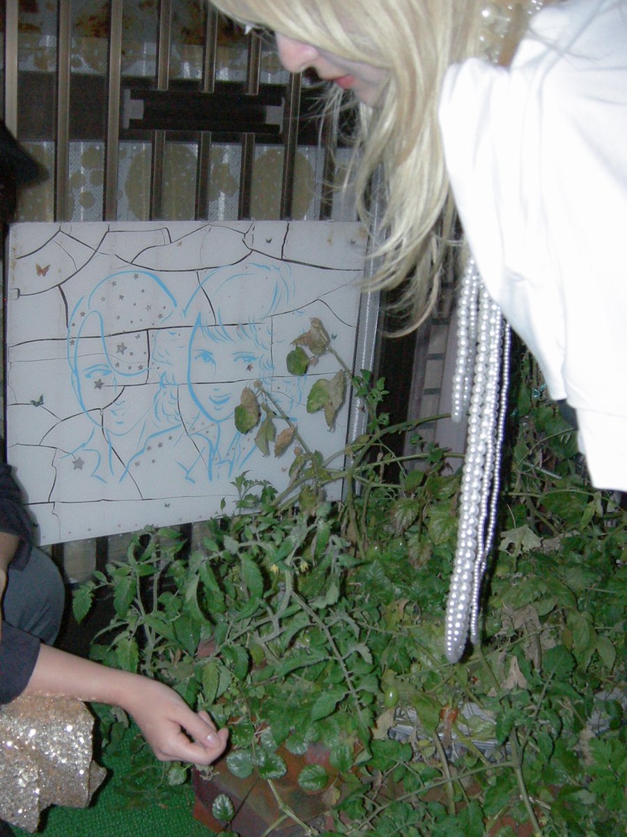 𝗟𝗔𝗨𝗦𝗕𝗨𝗕 (@officialausbub) on Twitter photo 