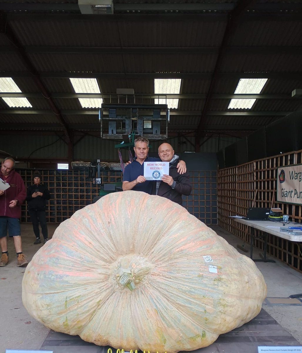 HOMESUPERSTORE's tweet photo. Guinness World Record The Heaviest Pumpkin 1278.8kg / 2819.8 lbs also the Largest Pumpkin by Circumference 649.8 cm 
Massive well done to I &amp; S Paton from Lymington Hampshire UK 💪👏👏
@GWR
@BBCNews @BBCRadioSolent 
#hampshire #Lymington https://t.co/vAeTyXOgdT