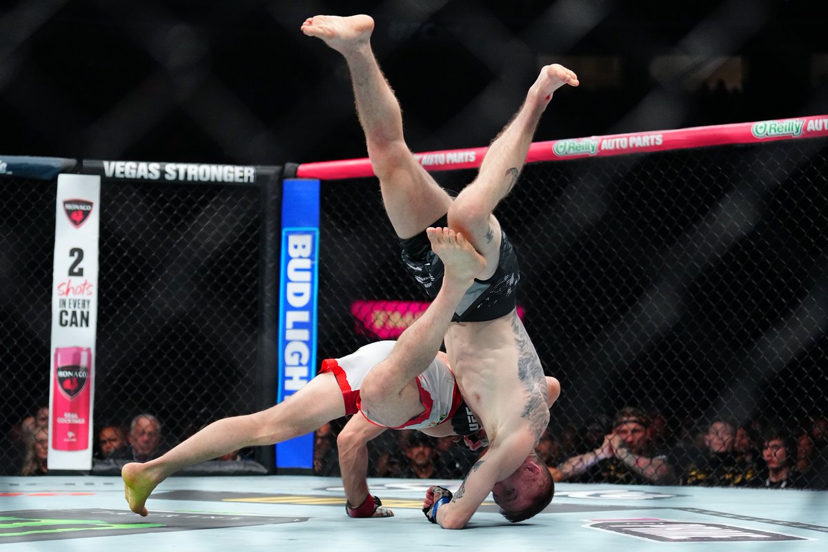 UFC tweet media