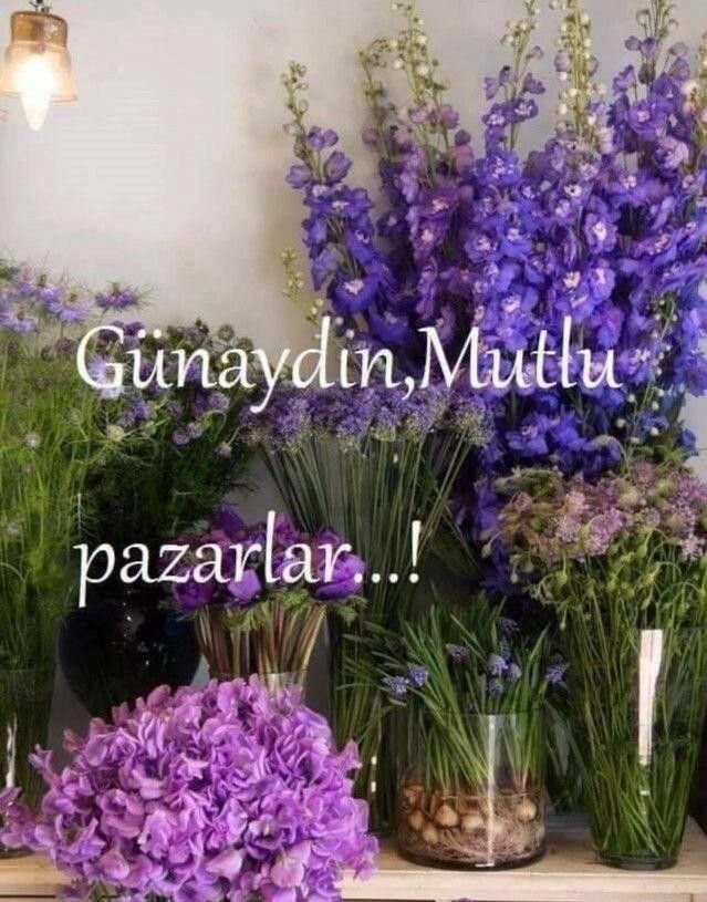 𝕸𝖚𝖘𝖙𝖆𝖋𝖆🇹🇷 tweet media